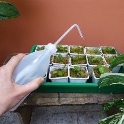 Pipette d'arrosage 2
