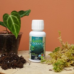 Liquid Ocean 100 ml...