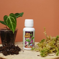 Xtra Roots 100ml Hydropassion