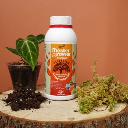 Engrais Master Grower...