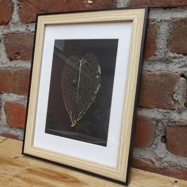 Cadre botanique avec feuille squelette