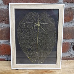 Cadre botanique avec...