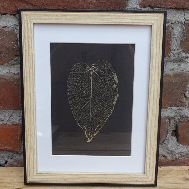 Cadre botanique avec feuille squelette