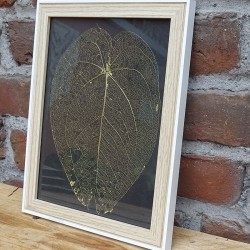 Cadre botanique avec... 2